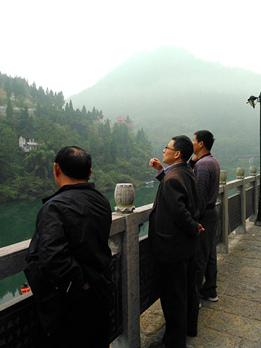 湖北野山茶油