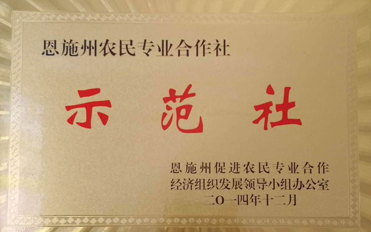 2014农民专用合作社示范社.jpg